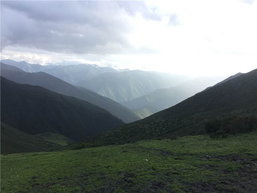 牧場遠眺。.jpg