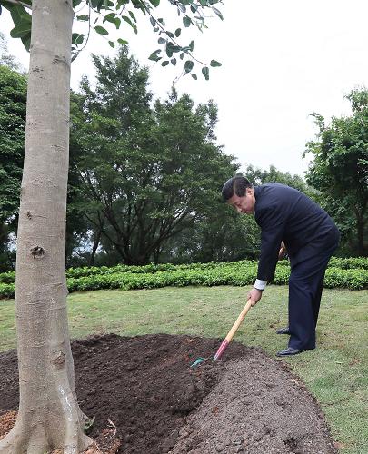 2012年12月7日至11日，習(xí)近平在廣東省考察工作。這是8日上午，習(xí)近平在深圳蓮花山公園種下一棵高山榕樹。新華社記者 蘭紅光 攝