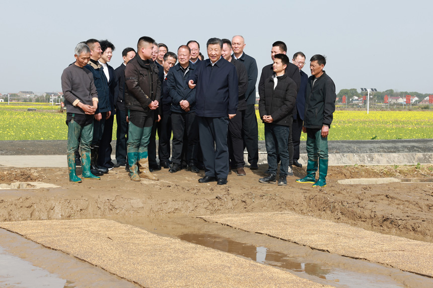 2024年3月18日至21日，中共中央總書記、國家主席、中央軍委主席習(xí)近平在湖南考察。這是19日下午，習(xí)近平在常德市鼎城區(qū)謝家鋪鎮(zhèn)港中坪村走進田間，察看秧苗培育和春耕備耕進展。新華社記者 王曄 攝